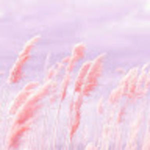 Meet your Posher, Elianah ruth